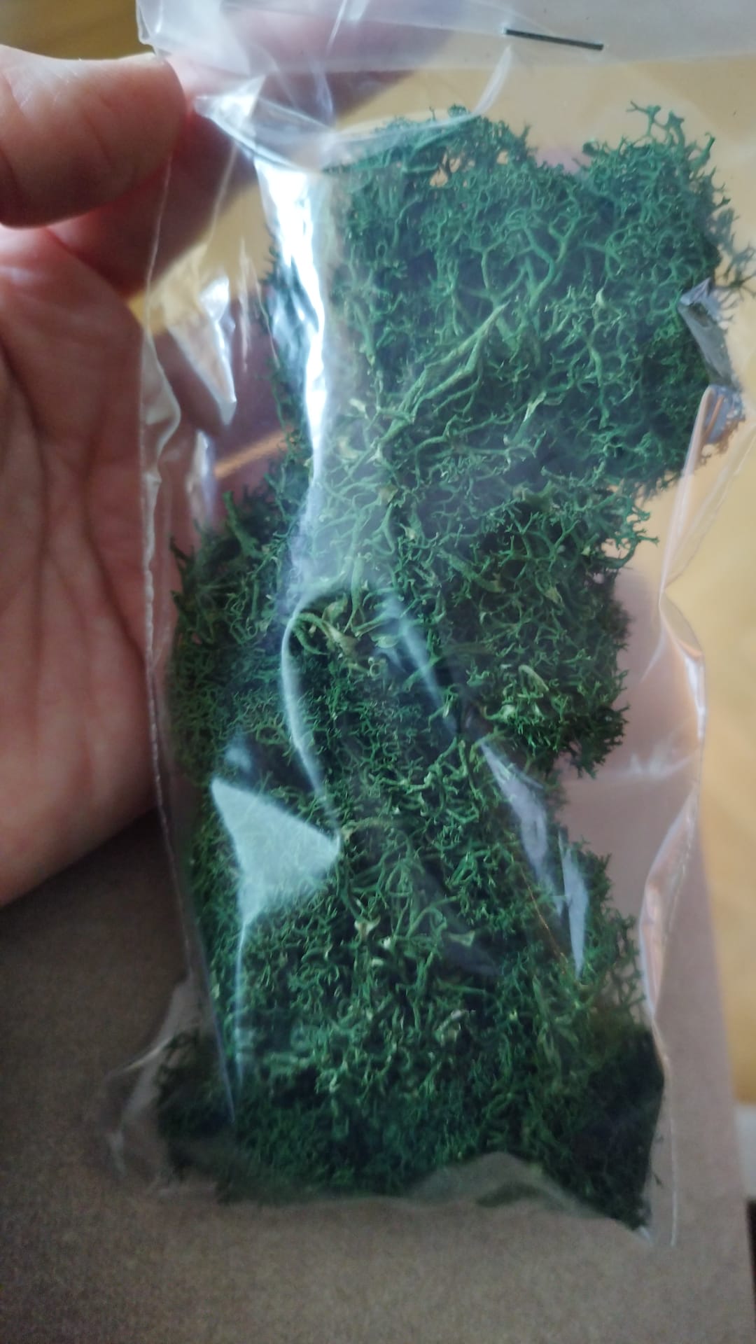 MUSGO ARTIFICIAL